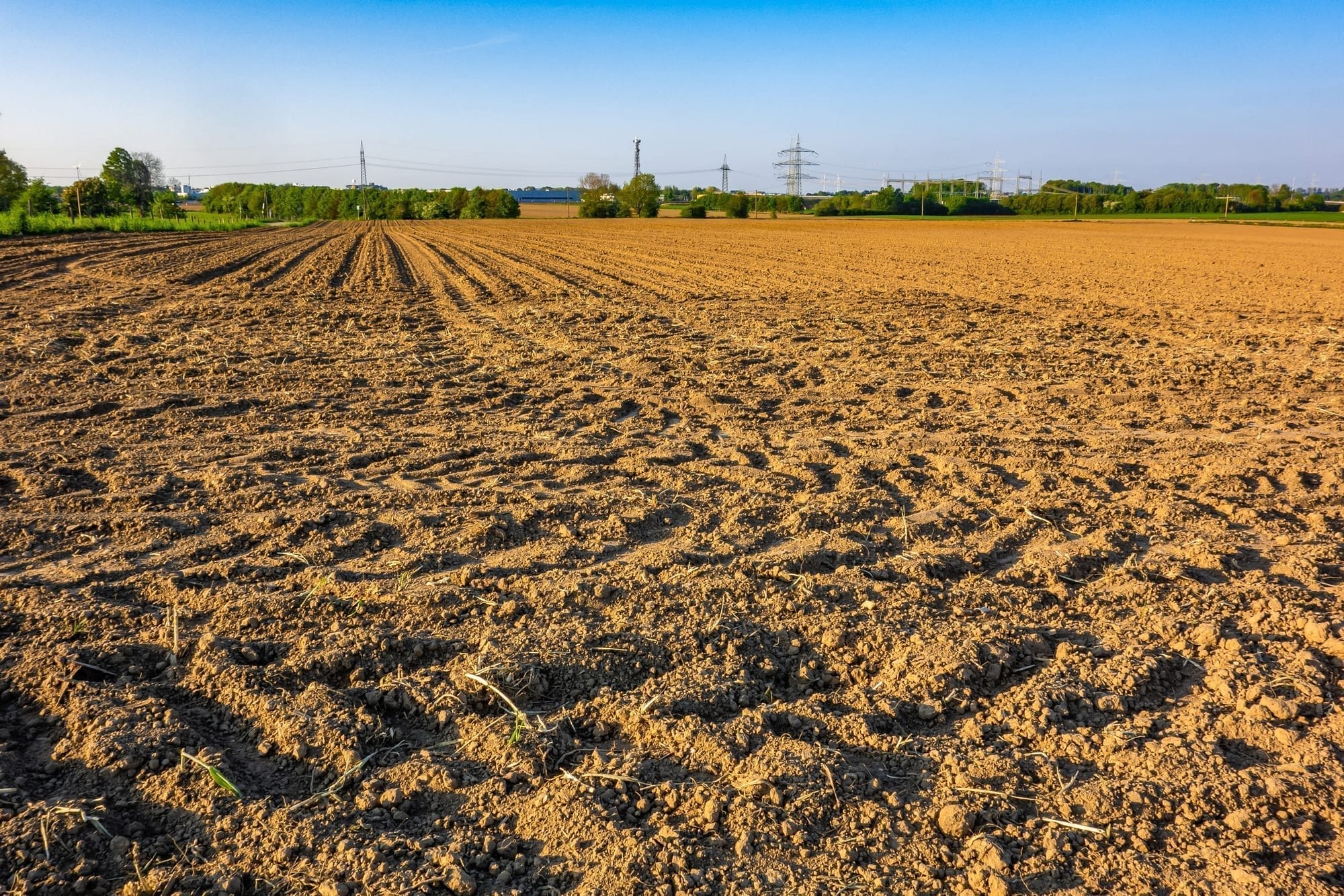 A view of an agricultural field in a rural area captured on a bright sunny day