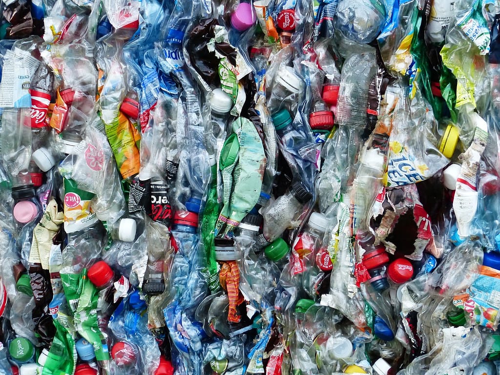 plastic bottles, bottles, recycling-115071.jpg